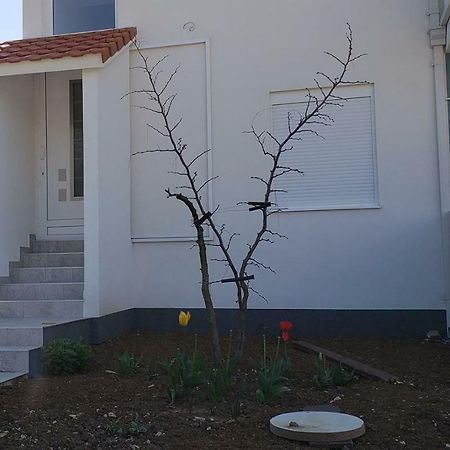 Apartmani Suncokreti - Sunflower Apartments Bar Luaran gambar